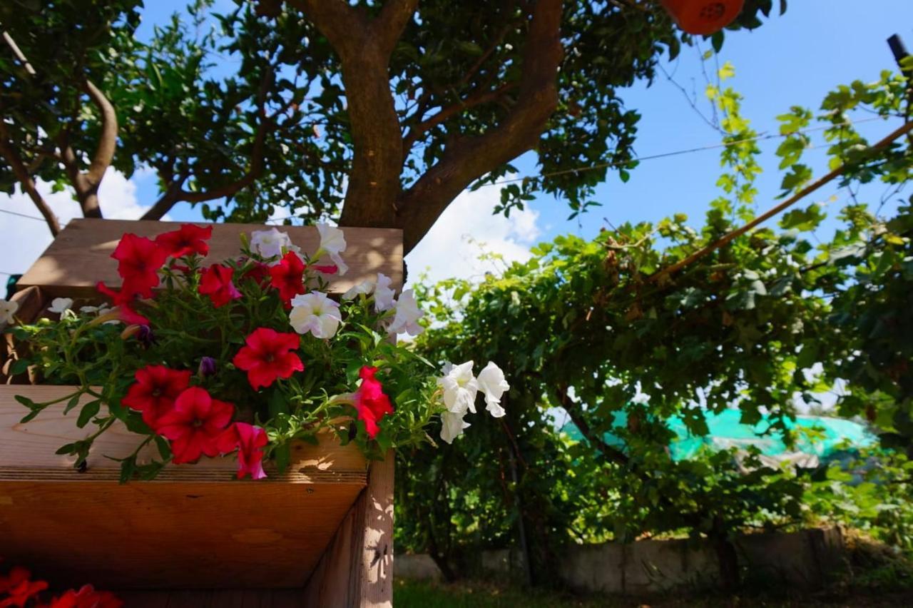B&B Villa Del Sole Gizzeria Exteriér fotografie