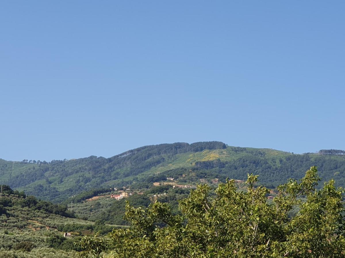 B&B Villa Del Sole Gizzeria Exteriér fotografie