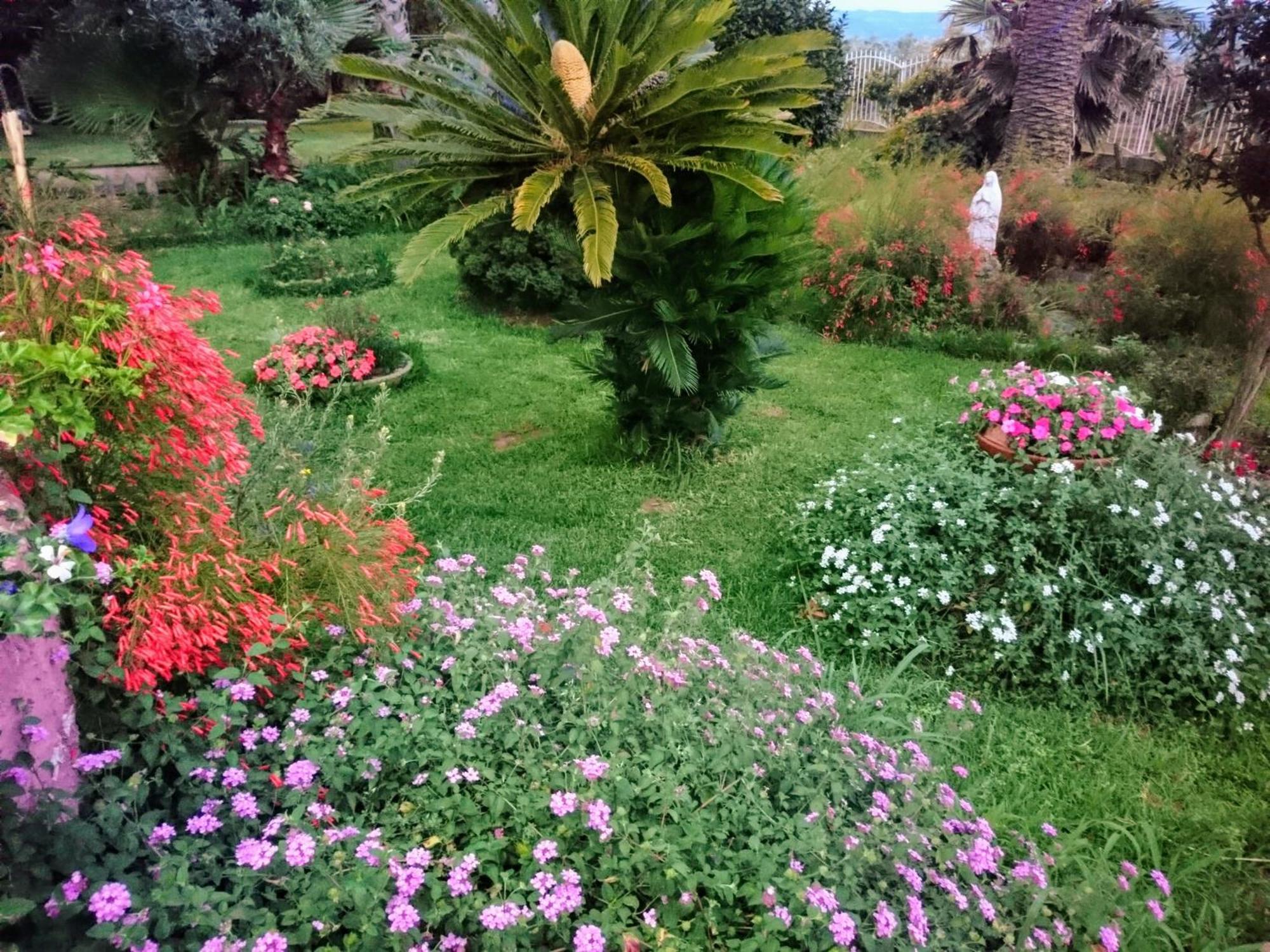 B&B Villa Del Sole Gizzeria Exteriér fotografie